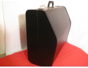 Moulded Hard case for 120 bass